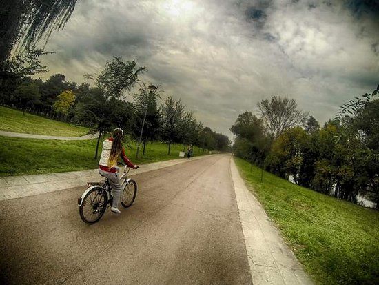 Catedrala Sfântul Sava